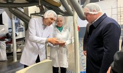 Kaynaşlı'da gıda üretim tesislerine inceleme