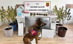 Kayseri'de uyuşturucu operasyonu