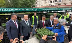 Kızılcahamam'da üreticilere 1 milyon 748 bin sebze fidesi dağıtıldı