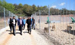 Kocaeli'de 650 köpek kapasiteli yeni barınak hizmete alındı