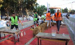 Köy Survivor'da 5 yıldızlı tatil için kıyasıya yarıştılar