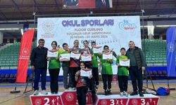 Köyceğiz Toparlar Ortaokulu, Türkiye finallerinde