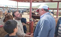 Kurban pazarlarında hareketlilik başladı