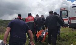 Mantar toplarken ayı saldırısına uğradı
