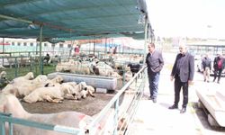 MESOB Başkanı Keskin: 'Canlı Hayvan Pazarı yeniden kamu malı olmalı'