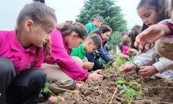 Minik elleriyle fideleri toprakla buluşturdular