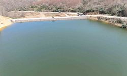 Ordu'da gölet ve barajlarda su seviyesi yükseldi