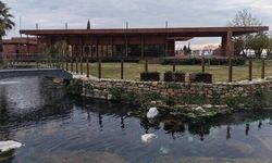Pamukkale'nin yanındaki antik kente yeni düzen
