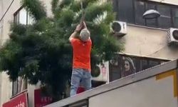 Pendik'te elektrik tellerine takılan martı kurtarıldı
