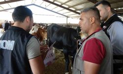 Polislerden kurbanlık pazarında sahte para ve IBAN uyarısı