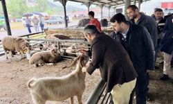 Şahin ve Çetinkaya'dan Kurban satış alanına ziyaret