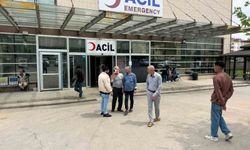 Şanlıurfa'da köpek saldırısına uğrayan yaşlı adam yaralandı