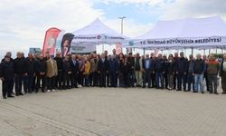 Sebze üreticilerine yarım milyon fide
