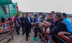 Şehitkamil'de Kurban Bayramı hazırlıkları tamamlandı