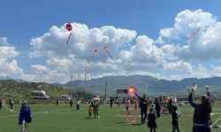 Siirt'te öğrenciler uçurtma şenliğinde gökyüzünü renklendirdi