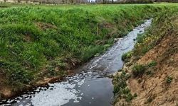 Sinop'ta çevreyi kirleten tesise 1.6 milyon TL ceza