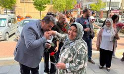 Sokaklardaki annelere karanfil dağıttılar