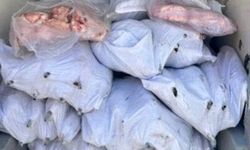 Tekirdağ'da 1,5 ton iç yağ ve 140 kokoreç imha edildi