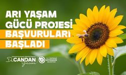 Tekirdağ'da arıcılara yem desteği başvuruları başladı