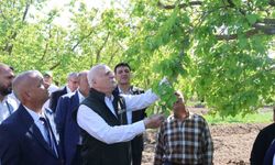 TZOB Genel Başkanı Bayraktar: 'Iğdır'daki kayısı bahçelerimiz dondan zarar gördü'