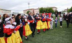 Vali Taşolar Kafkas oynadı, halay çekti