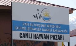 Van'da hayvan pazarında silahlı kavga: 1 ölü, 13 yaralı