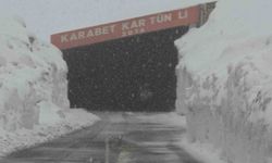 Van'ın yüksek kesimlerde kar yağışı etkili oldu