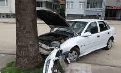 Virajı alamayan otomobil, kaldırımda ağaca çarptı
