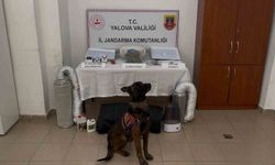 Yalova merkezli 3 ilde göçmen kaçakçılığı operasyonu: 3 tutuklama