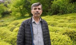 Yaş çay sezonuna sayılı günler kala üreticiler hazırlıklarını sürdürüyor