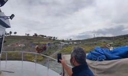 Yozgat'ta 'Kaptan Tavuk' görenleri gülümsetti
