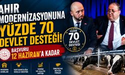 Ahır Modernizasyonuna Yüzde 70 Devlet Desteği: Başvuru 12 Haziran'a Kadar