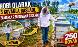 Hobi olarak 5 kovanla başladı, zamanla 250 kovana çıkardı