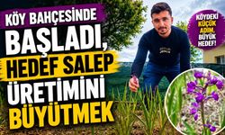 Köy bahçesinde başladı, hedef salep üretimini büyütmek