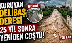 Kuruyan Delibaş deresi 25 yıl sonra yeniden coştu