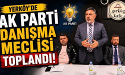 Yerköy'de AK Parti Danışma Meclisi Toplandı