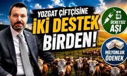 Yozgat Çiftçisine İki Destek Birden: Ücretsiz Aşı ve Milyonluk Ödenek