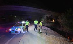 Ağaçlık alana uçan otomobilin acil çağrı sistemi ekipleri harekete geçirdi