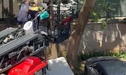 Ağaçta mahsur kalan kedi itfaiye tarafından kurtarıldı