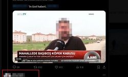 Aile sağlığı merkezindeki sedyede köpek tedavi eden doktorun skandal ifadeleri yeniden gündem oldu