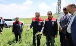 Akyaka'da dolu yağışı tarım arazilerini vurdu: Hasar tespit çalışmaları sürüyor