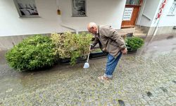 Altyapı yetersizliği sebebi ile yol kenarında biriken su ile bitkileri suladı