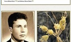 Anadolu Üniversitesi'nden dünya literatürüne iki yeni endemik tür