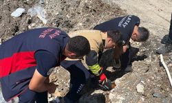 Anne kedi yavruları kurtarılana kadar ekiplerin başında bekledi