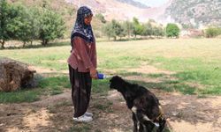 Annesinin reddettiği oğlak, anne sevgisini Hayriye teyzenin yanında buldu