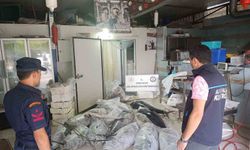 Antalya'da avlanması ve satışı yasak olan 603 kilogram balığa el konuldu