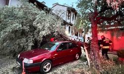 Araç üzerine düşen ağaç itfaiye ekiplerinin titiz çalışmasıyla kaldırıldı