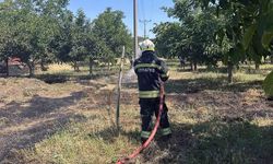 Arazi yangınları büyümeden söndürüldü
