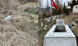Artvin'de şehit mezarları yenilenerek bakıma alındı