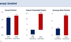 Bakan Şimşek: 'Sanayi üretimi nisanda yıllık yüzde 6 arttı'